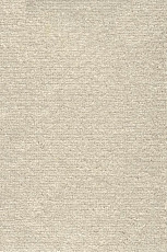 Ковролин AW Masquerade Mezza 34 фото 1 | FLOORDEALER